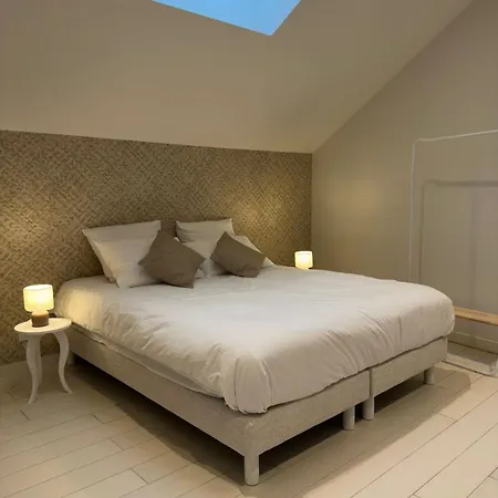 Maison Neuve Arcachon, Hyper Centre, 4 Ferienhaus *